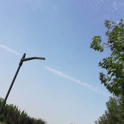 道友请留步正版手游下载