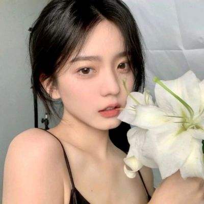 龙骑士养成手机版下载